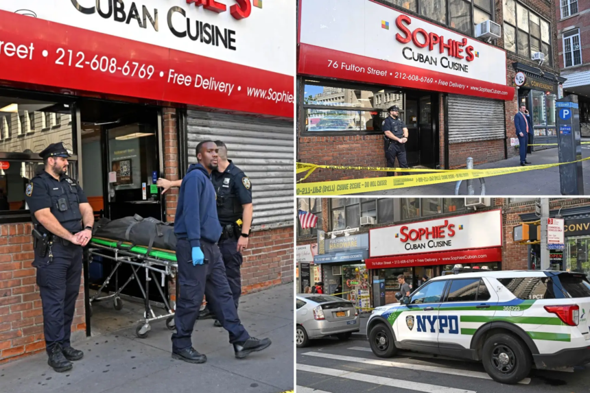 NEW YORK: POLICE IDENTIFIES MOTHER OF DEAD BABY FOUND IN TOILET