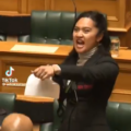 PROTEST DANCE IN THE NEW ZEALAND PARLIAMENT AGAINST CONTENTIOUS TREATY BILL