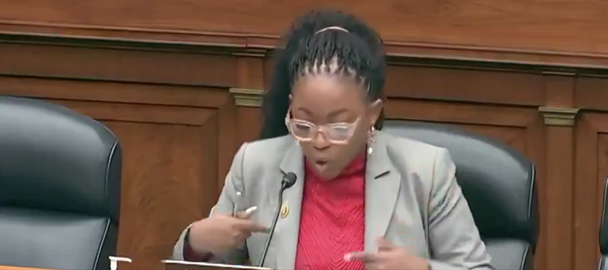 Video: Rep. Crockett Explains The Concept Of Racism, Says White People Are Not Allow To Use The Word ‘Oppression.’