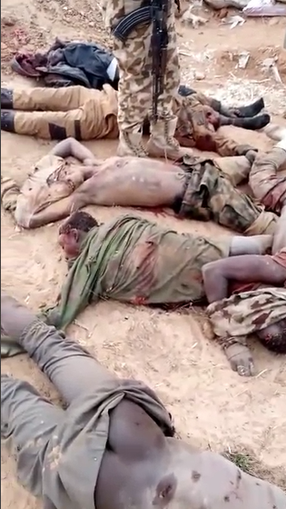 VIEWER DISCRETION IS ADVISED.