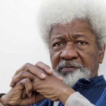 NHRC Slams Lazy Youths Calling For 90-Year-Old Soyinka To Lead Protests