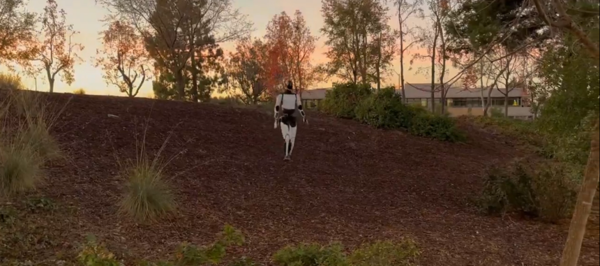 Technology: Elon Musk Optimus Walk On Variable Ground