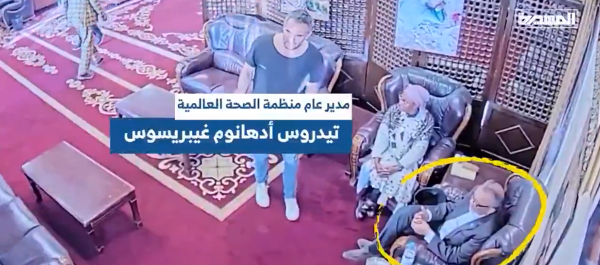 WHO Chief Narrates His Yemen Experience during Israeli Strike on the Airport