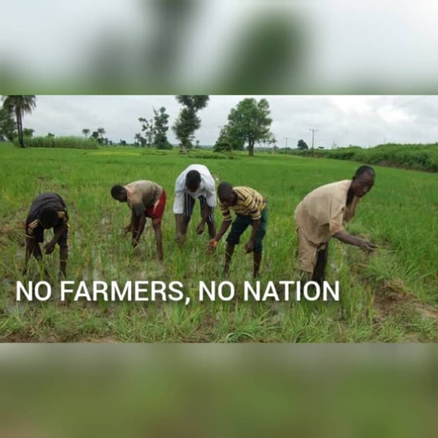 NA SARAWA ON THE MOVE AGAIN AS PRESIDENCY DECLARES THE STATE A MAJOR NATIONAL AGRIC HUB .