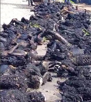 Viewers Discretion advised: more than 70 killed in a tanker explosion in Dikko village, Saturday