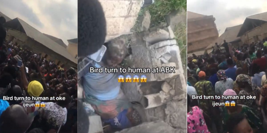 Update: Woman Accused of Transforming into a Human from a Bird in Ogun State is Reportedly Dead, Netizens Seek for Justice.