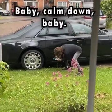 Video: Grass Assault