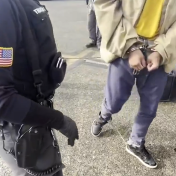 Video of Illegal Alien Deportation Flight