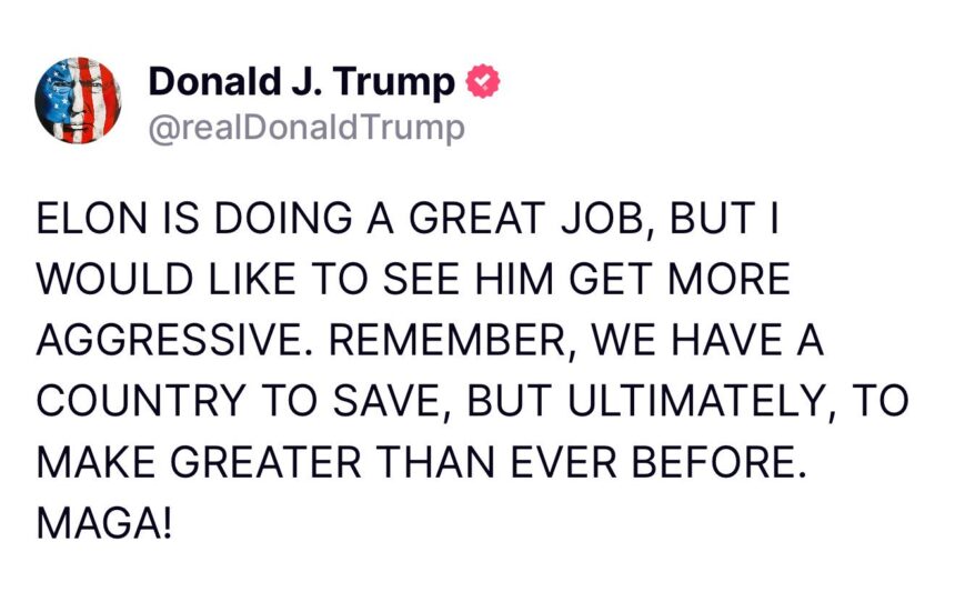 President Donald Trump Encourages Musk To Rumple More Feathers As The Team Lead At Department Of Government Efficiency (DOGE)
