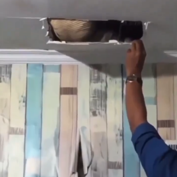 image Imagine Finding Monitor Lizard This Size In Your Ceiling