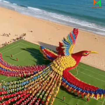 China 🇨🇳 Olympics will shock the world 😳😳😳😳😳