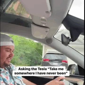 Technology: When Your Telsa Car Knows You Are Obese And Wants To Help You Change That