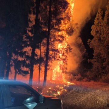 Israel Wildfires Flare Near Jerusalem For A Second Day, Arson Arrests Made