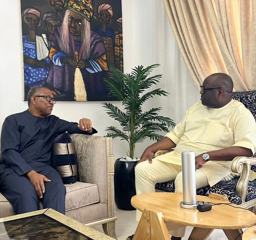 “Africa Should Have Nothing To Do With Hunger, But Should Actually Be A Powerhouse For The Supply Of Food In The World” Obi