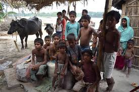 image Indian Children Fall Ill After Eating Free School Meal Cooked With Poisonous Snake