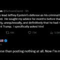 Civil Rights And Criminal Defense Lawyer David Schoen, Debunks Allegation Of Trump’s Name On The Epstein File