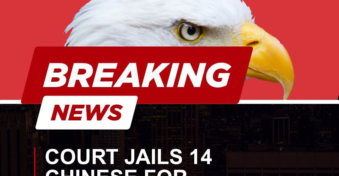Court Jails 14 Chinese for Cyberterrorism, Internet Fraud in Lagos
