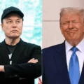 The Ongoing Fracas Between The Richest Man In The World And United State President Donald Trump