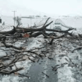 Schoolchildren Swept Away As Heavy Floods And Snow Hit South Africa