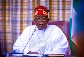 Two Years, One Mandate: Is Tinubu’s Nigeria on Track or in Trouble?