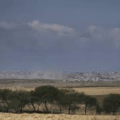 Gaza Officials Say Israeli Forces Killed 27 Heading To Aid Site. Israel Says It Fired Near Suspects