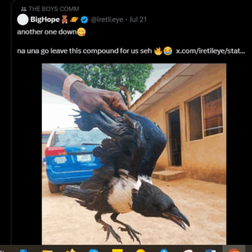 Screenshot (136) Another To Learn To Choose Your Battle: Internet Educate Man On Pied Crow, As He’s Yet To Know He Unknowingly Bought Trouble From “Murder”