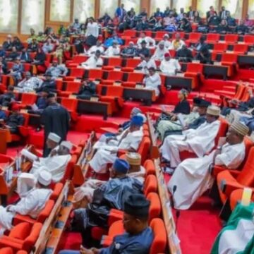 Senator’s Aide Resigns Over N20,000 Monthly SalaryJuly 3, 2025