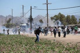 image Kids Running From Tear Gas As Massive Immigration Raid Hit State-Licensed Marijuana Nurseries In Ventura County, Near Camarillo, California