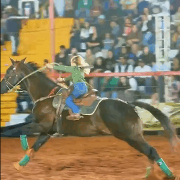 Young Barrel Racer Nadia Limaraguti Impressive Skills At Rodeo Event In Brazil