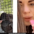 Russian Boxer Anastasia Luchkina Faces Backlashes After Letting An Endangered Orangutan Take A Hit From Her Vape Pen
