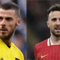  Former Manchester United Goalkeeper, David De Gea Reacts To Diogo Jota’s Death