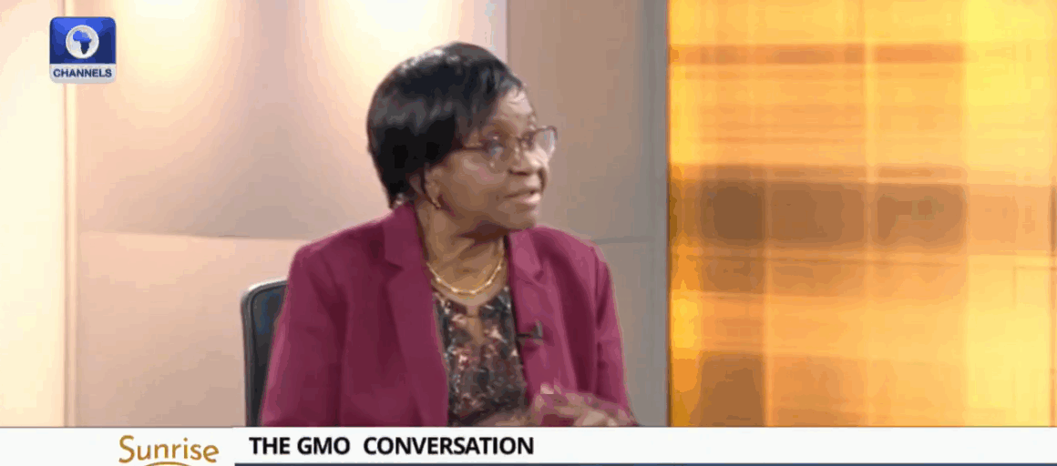Video: “GMOs Are Not Bad For Us “— NAFDAC DG, Mojisola Adeyeye.