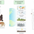 ENDEMIC INFECTIOUS DISEASES- WHY TUBERCULOSIS, HIV, AND NALARIA STILL MATTER IN 2025.