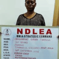 NDLEA Arrests Woman With Meth Stuffed In Bum Pad