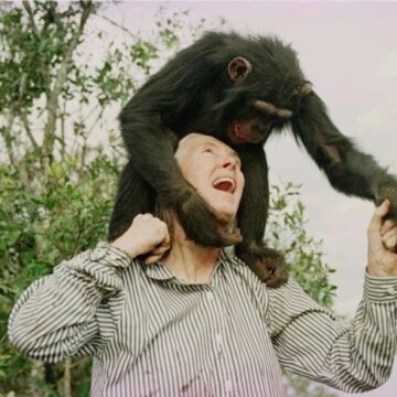 British Celebrated Primatologist And Conservationist Jane Goodall, Bid The World Goodbye At 91
