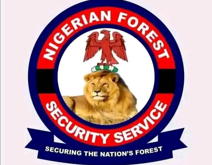 💥BREAKING: Tinubu approves Establishment of Forest Guards of Nigeria