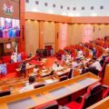 Nigerian Senate Approves Life Imprisonment For Offenders Who Defile Minors