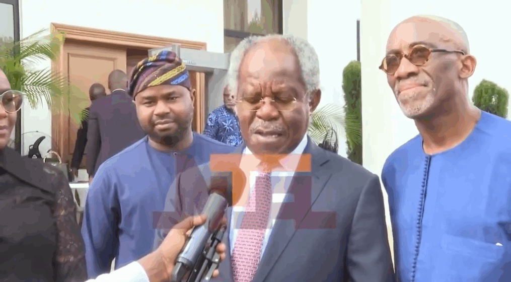 Please listen to billionaire Bayo Ogunlesi, major investor (Gatwick Airport, UK), after meeting with President Bola Tinubu