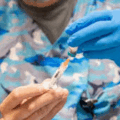 More Than 150 Schoolchildren Quarantined As US Measles Cases Hit 33-Year High