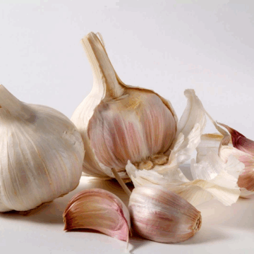 image GARLIC: NATURE’S POWERFUL MEDICINE IN YOUR KITCHEN.