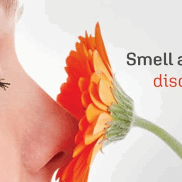 image Taste And Smell Disorders