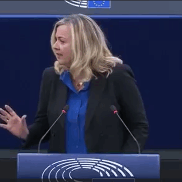 “Islamic Terrorists Operate In Nigeria As Though They Are Above The Law.” —EU