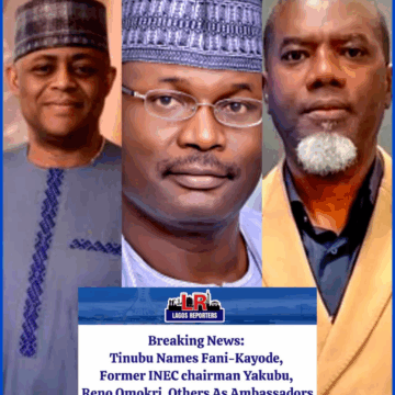 Tinubu Names Fani-Kayode, Former INEC chairman Yakubu, Reno Omokri, Others As Ambassadors