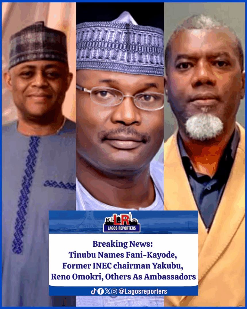 Tinubu Names Fani-Kayode, Former INEC chairman Yakubu, Reno Omokri, Others As Ambassadors