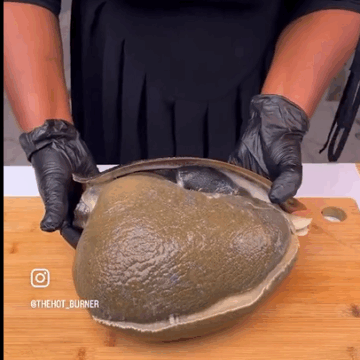 Something You Can Easily Snacks On: Pepper Snail