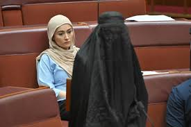 image Australian Senator Pauline Hanson Suspended From Parliament For Wearing Burqa In Protest