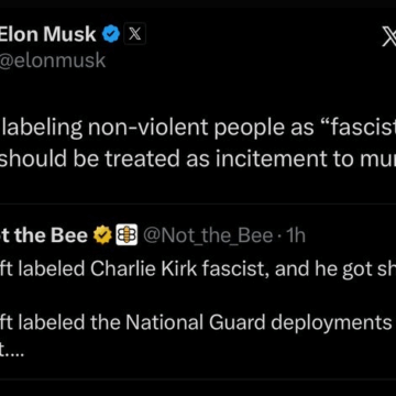 Elon Musk Calls For Treating False Fascist Labels As Incitement To Murder