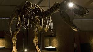 image France To Repatriate 70-Million-Year-Old Smuggled Dinosaur Skeleton To Mongolia