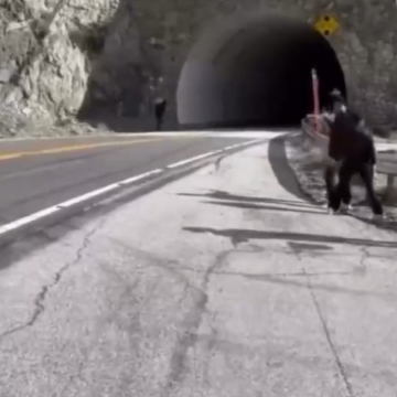 “Call Of Duty” Video Game Creator Vincent Zampella Dies At 55 In Fiery Crash