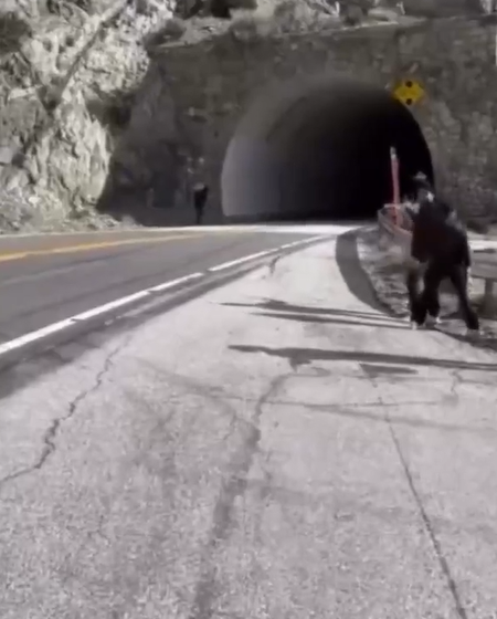 image “Call Of Duty” Video Game Creator Vincent Zampella Dies At 55 In Fiery Crash